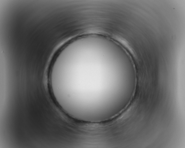 X0000092301024200709140955