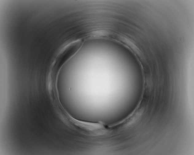 X0000092301034200709140955