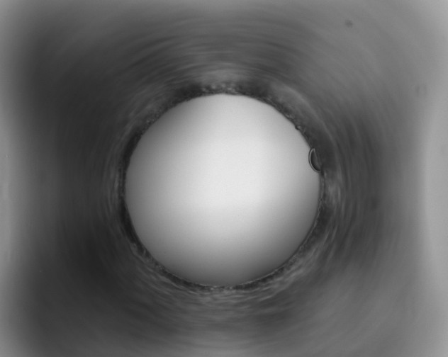 X0000092301060200709140954