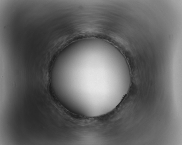 X0000092301061200709140954