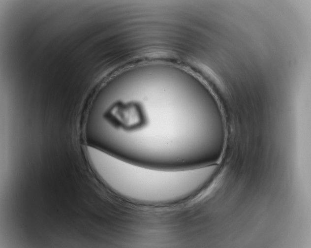 X0000092301065200709140954