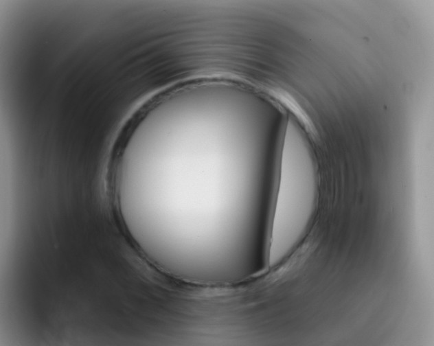 X0000092301068200709140954