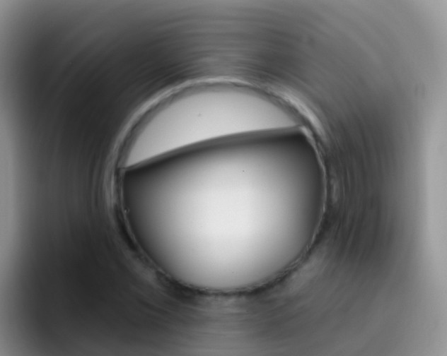 X0000092301069200709140954