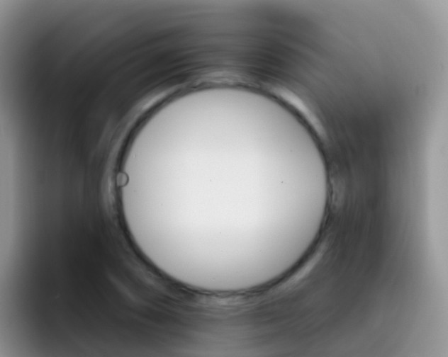X0000092301074200709140954