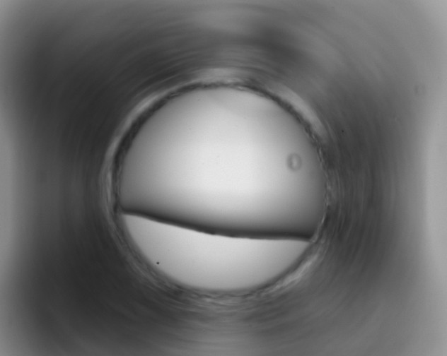 X0000092301075200709140954