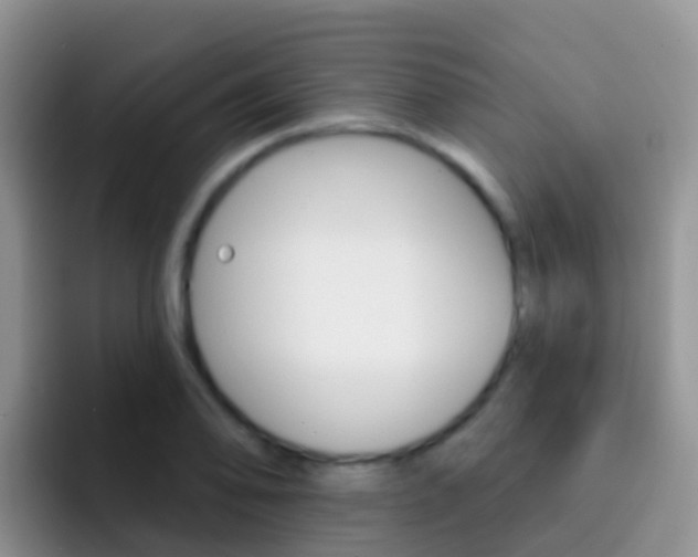X0000092301078200709140954