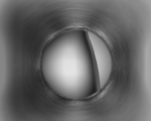 X0000092301081200709140954