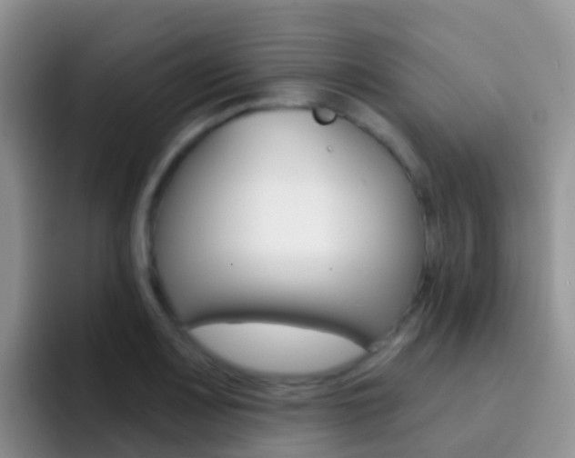 X0000092301083200709140954