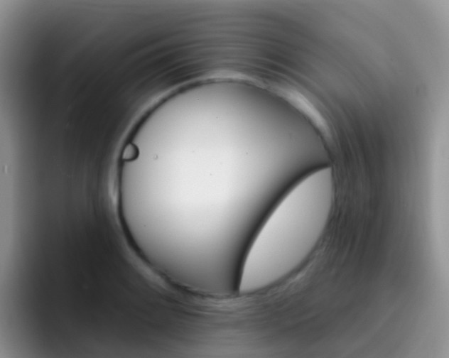 X0000092301084200709140954