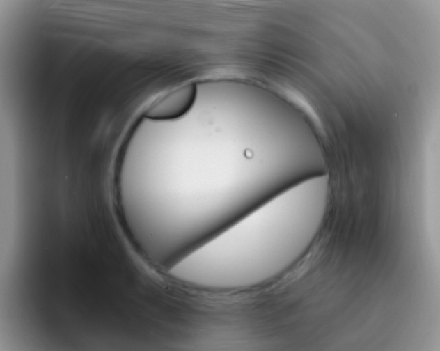 X0000092301087200709140954
