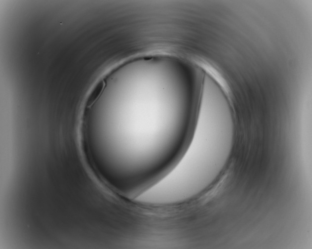 X0000092301093200709140954