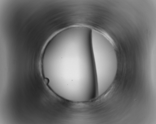 X0000092301100200709140954