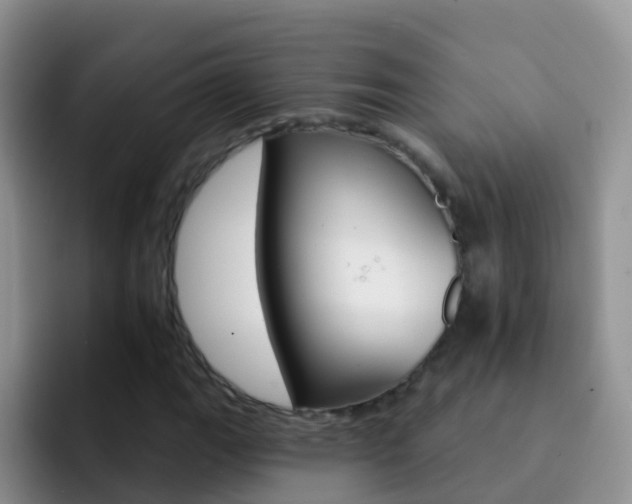 X0000092301111200709140953