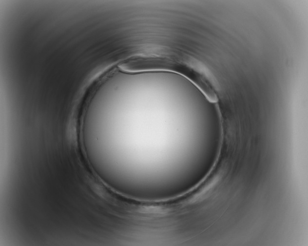 X0000092301114200709140953