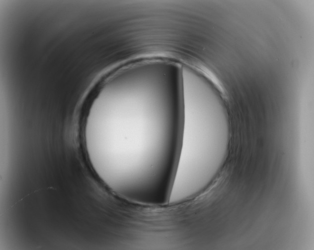 X0000092301116200709140953