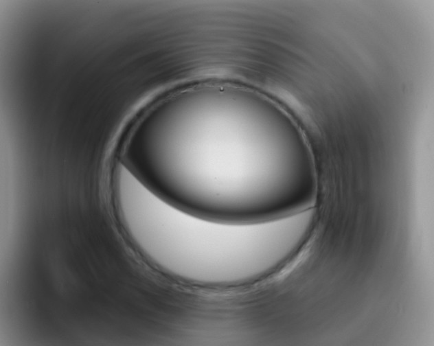 X0000092301118200709140953
