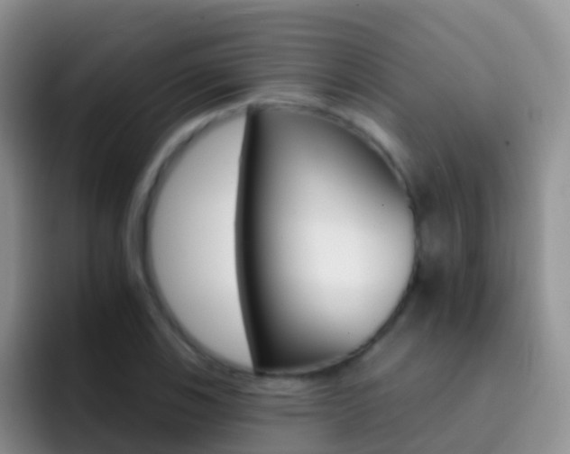 X0000092301123200709140954