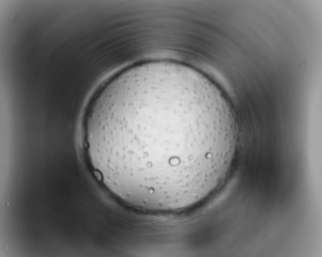 X0000092301125200709140954