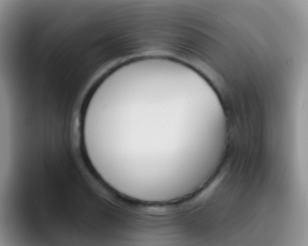 X0000092301126200709140954