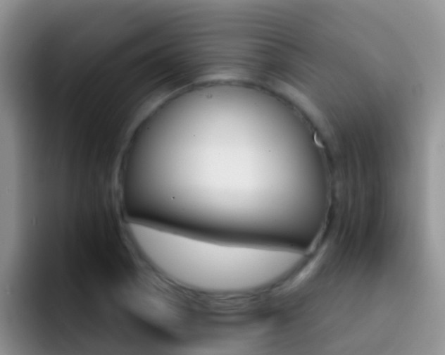 X0000092301129200709140954
