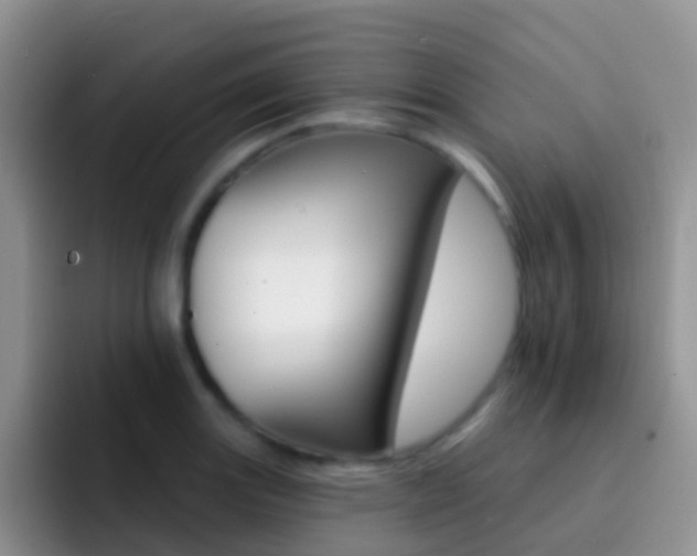 X0000092301131200709140954