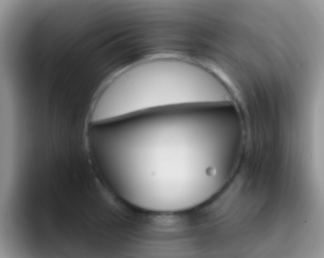 X0000092301137200709140954