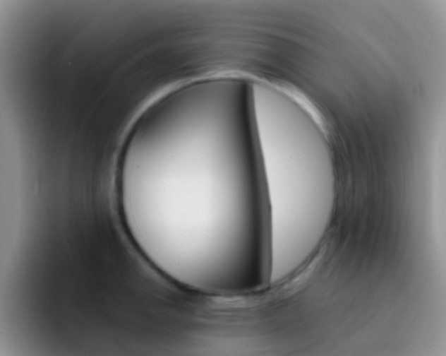 X0000092301142200709140954