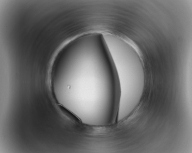 X0000092301144200709140954