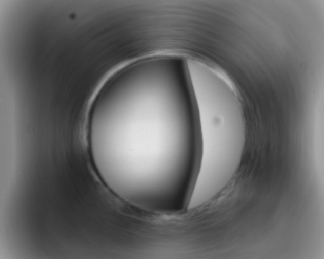 X0000092301148200709140954