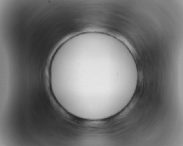 X0000092301150200709140954