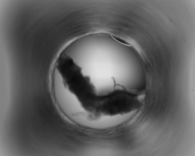 X0000092301151200709140954
