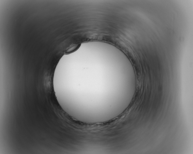 X0000092301154200709140953