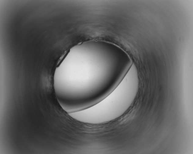 X0000092301156200709140953