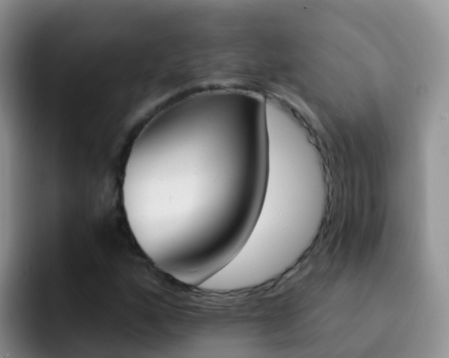 X0000092301160200709140953