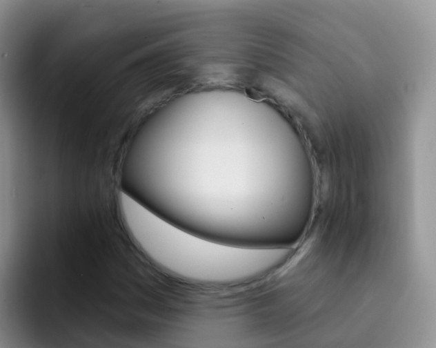 X0000092301161200709140953