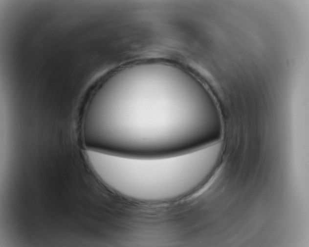 X0000092301163200709140953