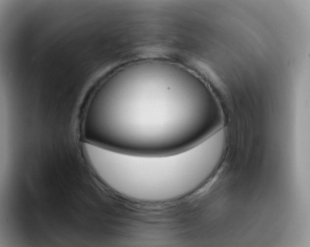 X0000092301164200709140953