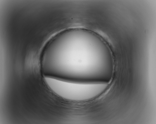 X0000092301167200709140953