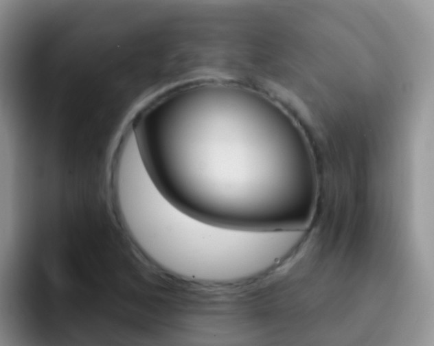 X0000092301168200709140953