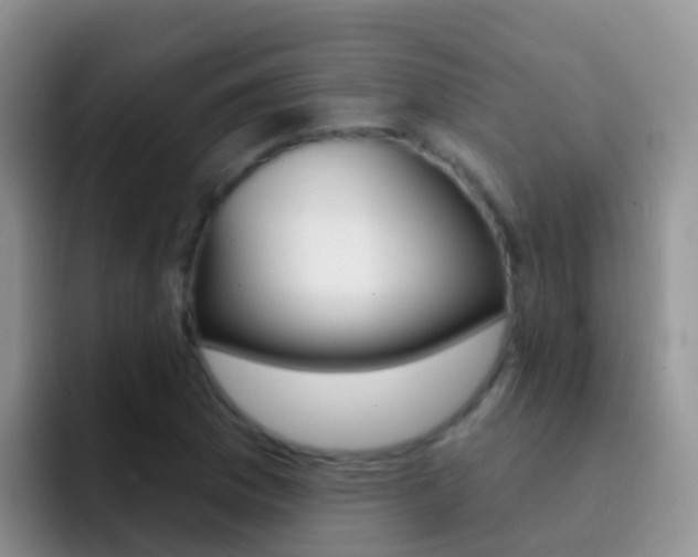 X0000092301169200709140953