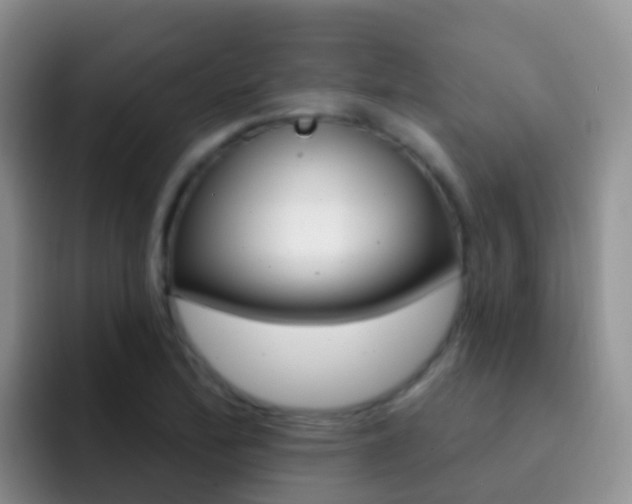 X0000092301172200709140953