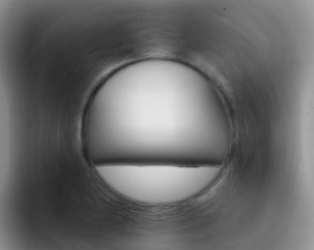 X0000092301174200709140953