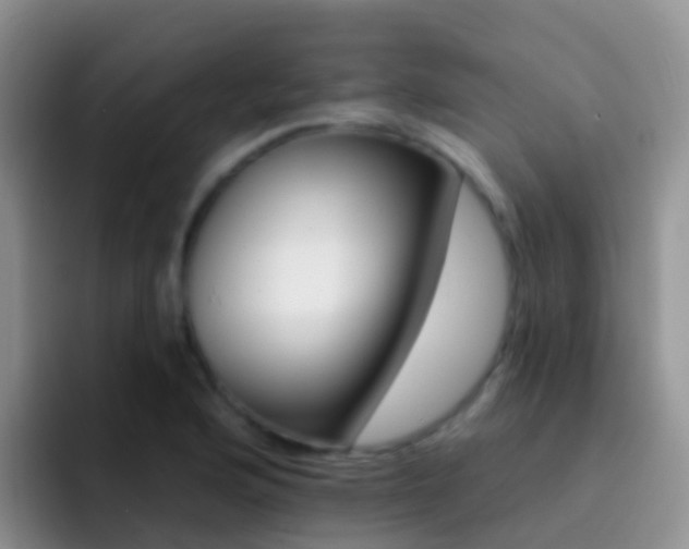 X0000092301176200709140953