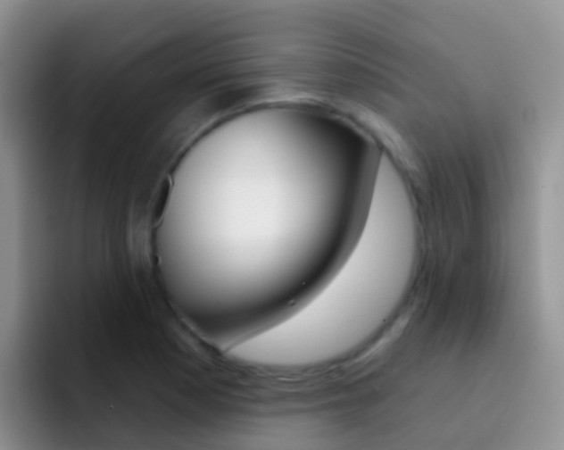 X0000092301177200709140953