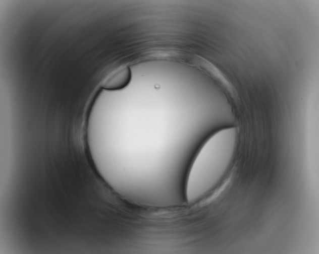 X0000092301178200709140953