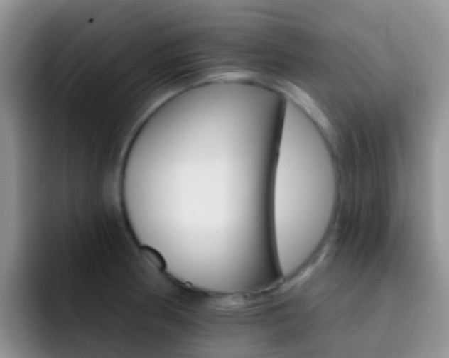 X0000092301186200709140953