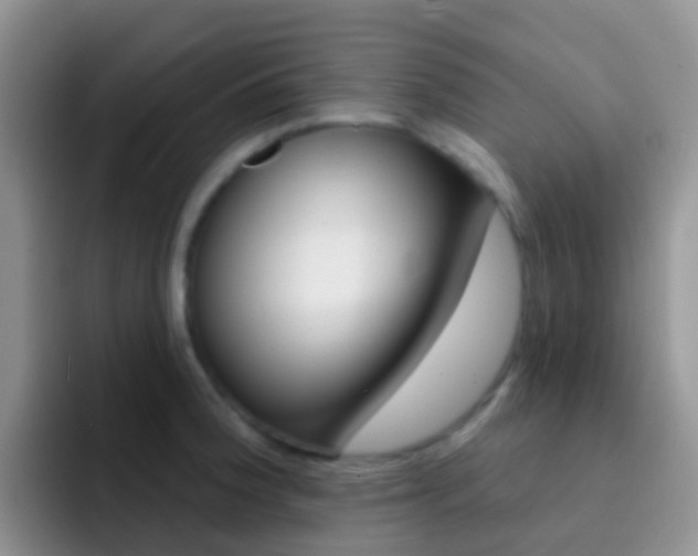 X0000092301188200709140953