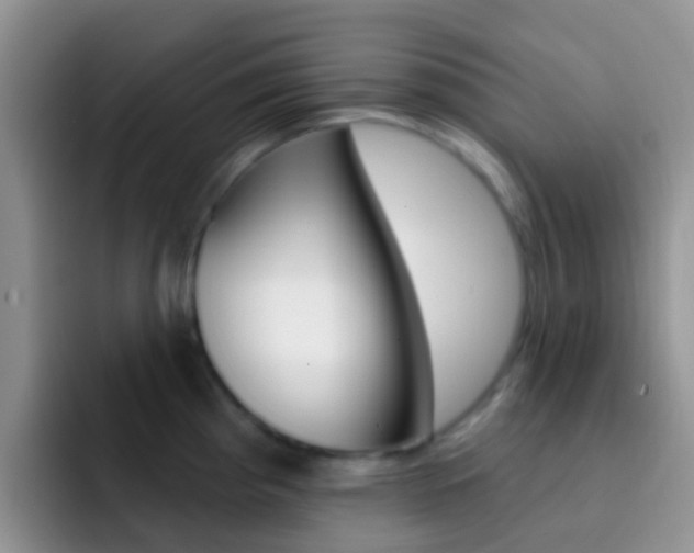 X0000092301193200709140953