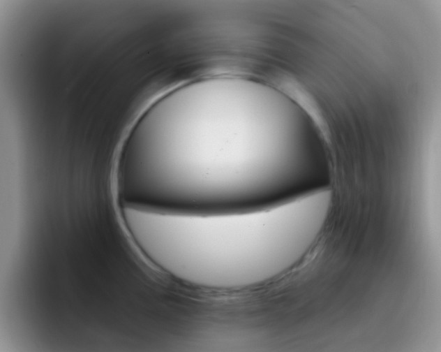 X0000092301195200709140953
