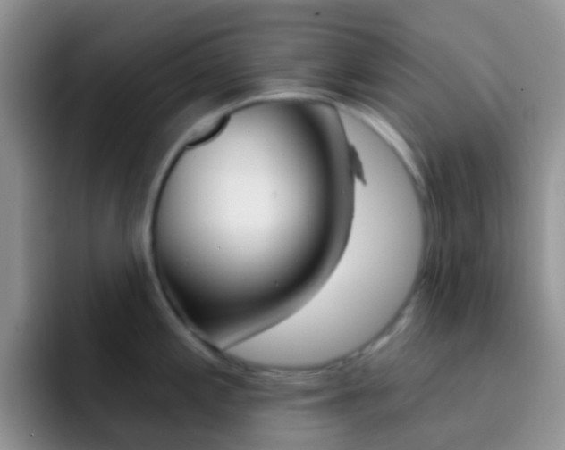 X0000092301197200709140953